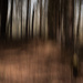 Where the monsters hide
