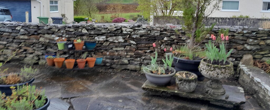 patio wall by anniesue