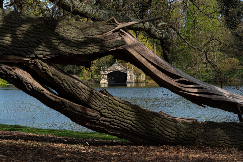 When the Bough Breaks  by rjb71