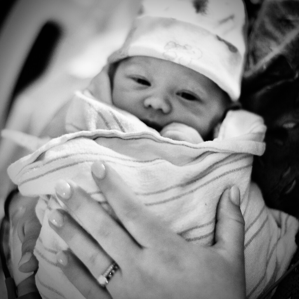 Swaddled by rickaubin