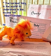 15th Apr 2025 - Fur-strations   Day 15