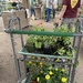 at the Grower's Outlet