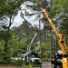 Dance of the bucket trucks