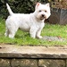 16th April - George
