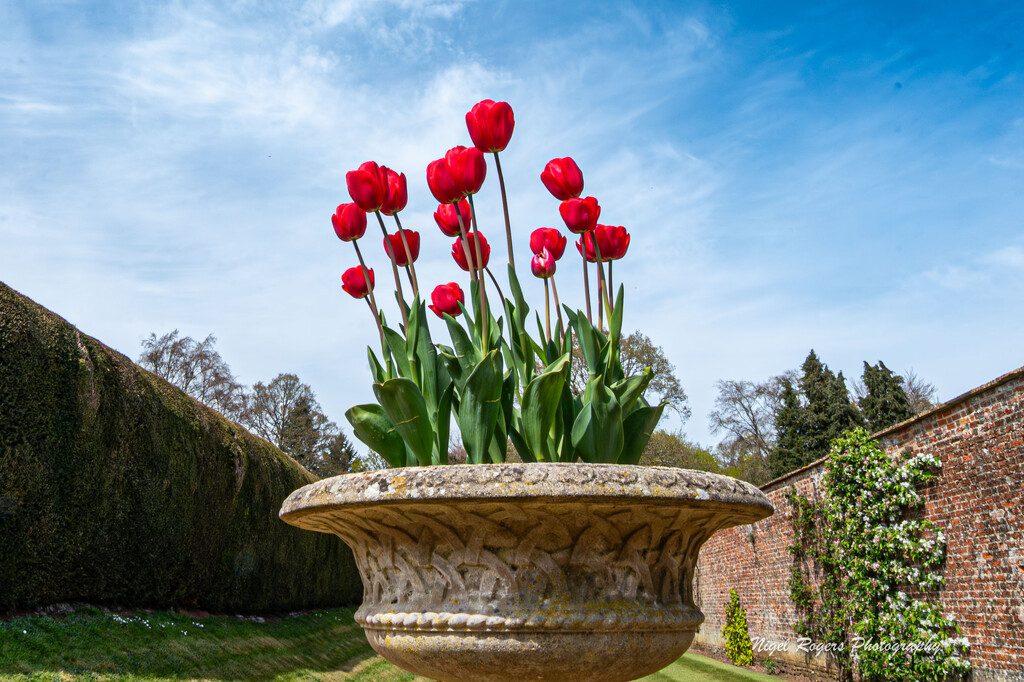Reach for the sky by nigelrogers