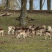 In my backyard