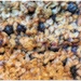 Blueberry baked oatmeal - 1