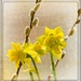 Indoor Spring