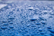 16th Apr 2025 - Rain