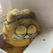 Garfield in a Box (Single Subject #16)