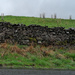 the incidental wall