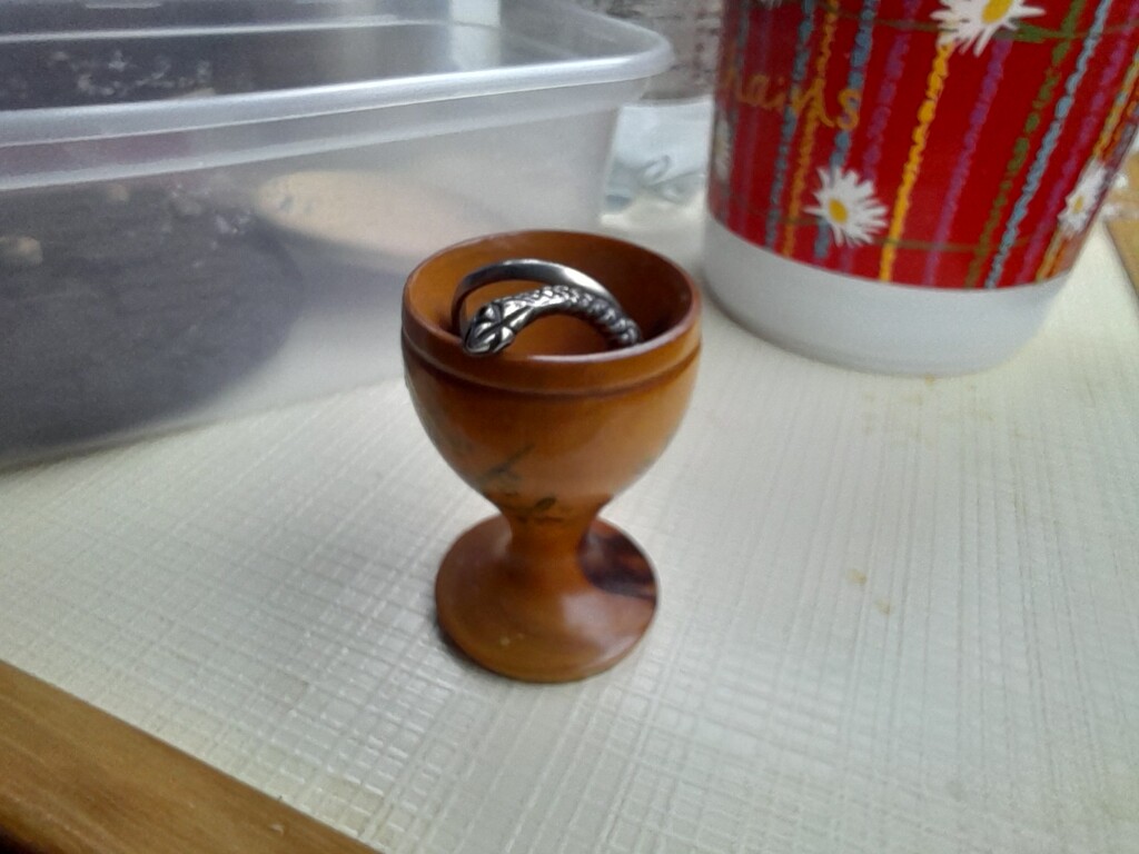 snake in a goblet by anniesue