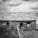 Homestead