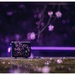 Sakura Festival