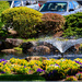 Flowers and Fountain
