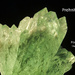 Prehnite - Poona, India