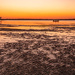 Low Tide Again Tonight!