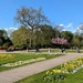 Spring in the park 