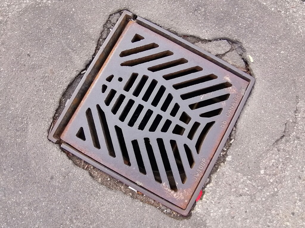 Poissons d'Avril: Day 16-- Storm Drain 2 by princessicajessica