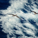 Smooth Sailing
