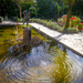 Ripples