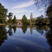 Reflections in the Lake