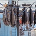A cod carousel