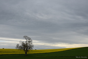 14th Apr 2025 - Spring colors