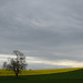 Spring colors