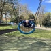 Big fun at the park