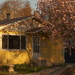 Spring morning 