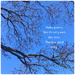 Haiku Day
