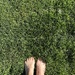 .. in the grass on a glorious 70 degree afternoon