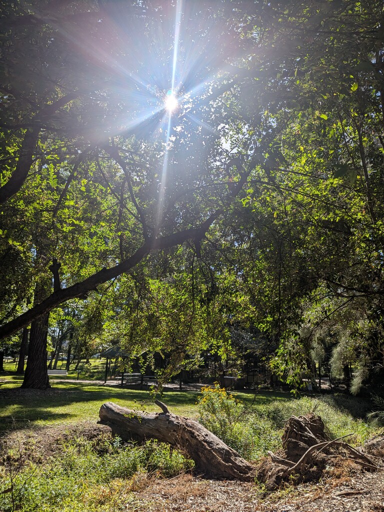 Let There be Light by elf