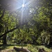 Let There be Light