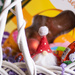 Easter basket surprise