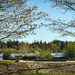 Beach Park