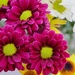 Flowersmile