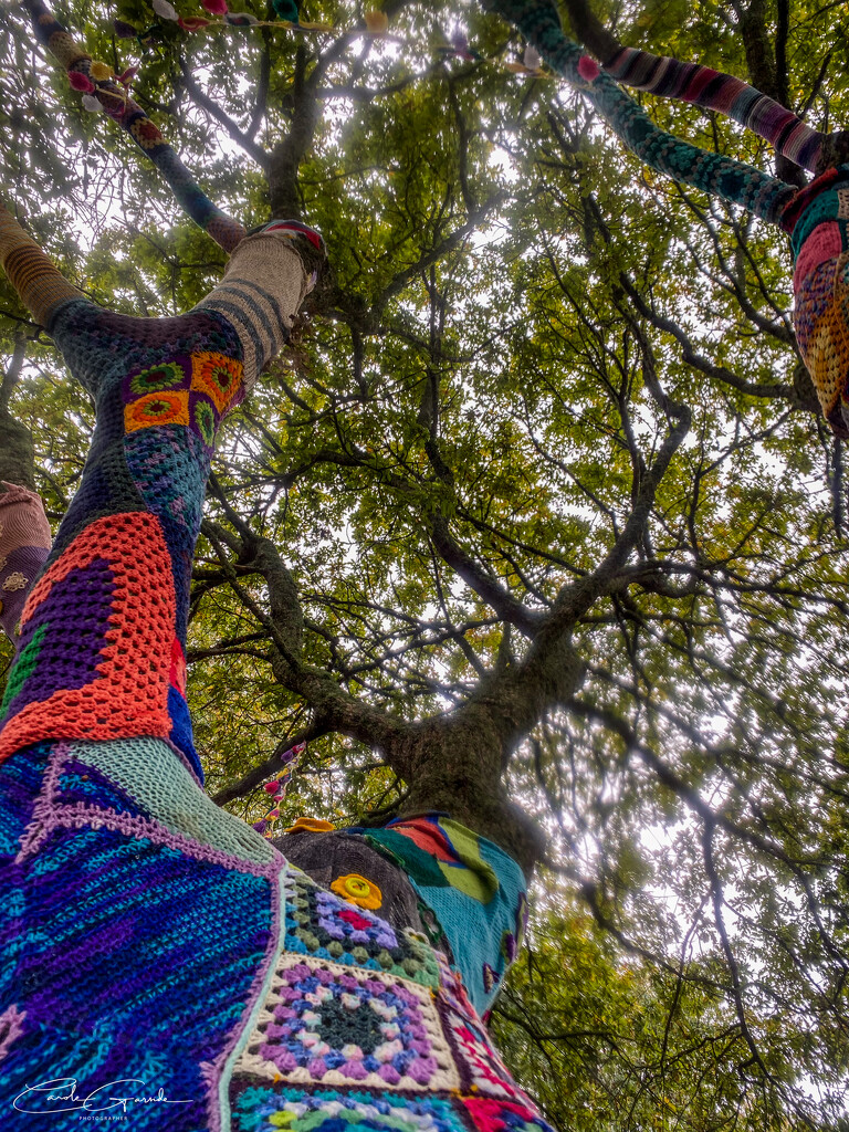 Yarn Bombing by yorkshirekiwi