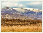 18th Apr 2025 - The Cairngorms