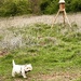 18th April - George