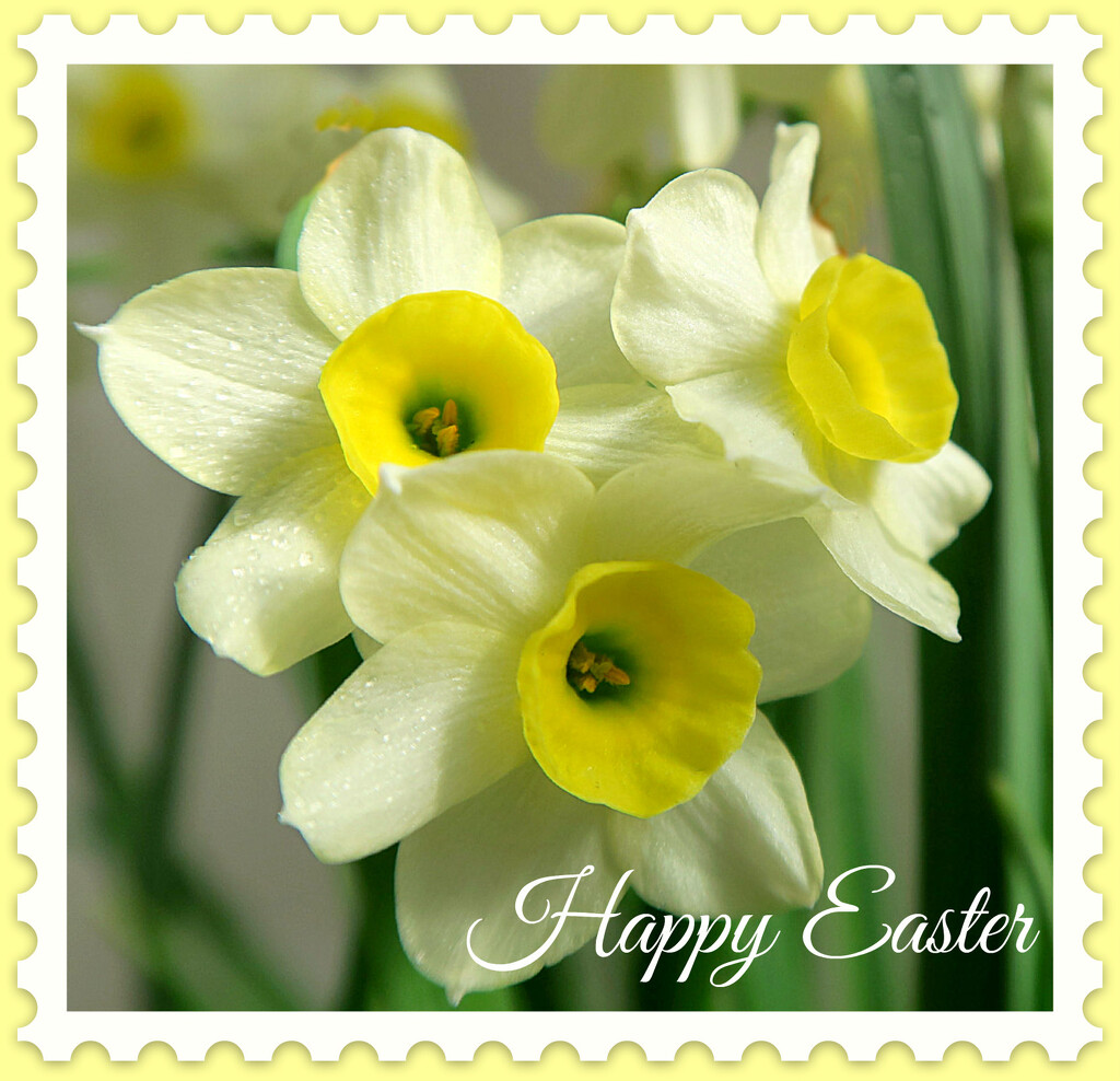 Easter Greeting.  by wendyfrost