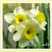 Easter Greeting. 