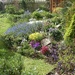 Part of the Back Garden