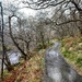 Wet Path