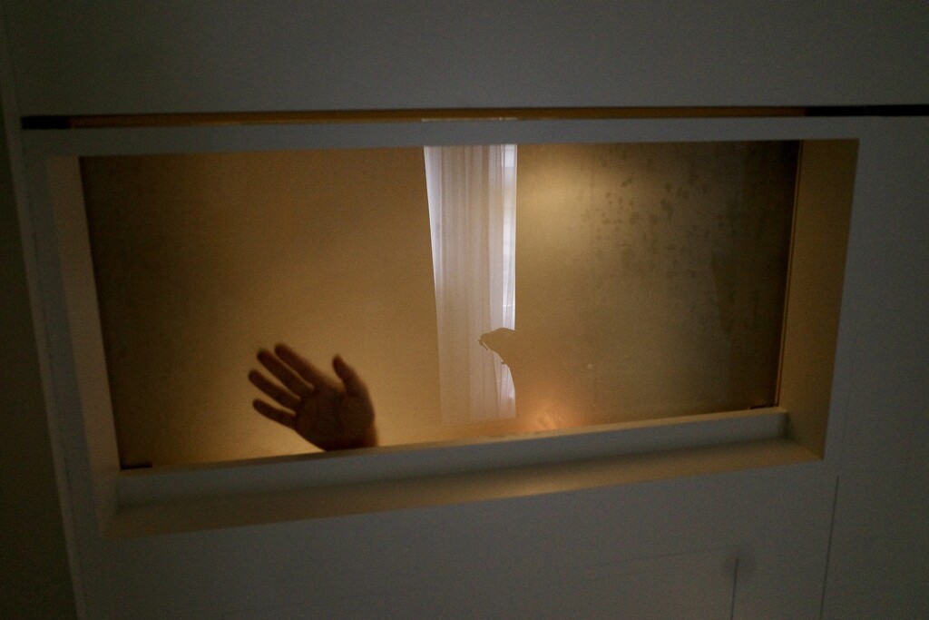 A hand by vincent24