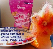 18th Apr 2025 - King of the Snack Jungle
