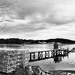 The Lobster Pier