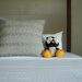 Hoots getting 40 winks