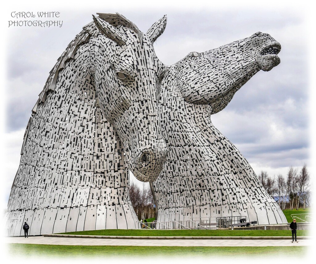 The Kelpies by carolmw